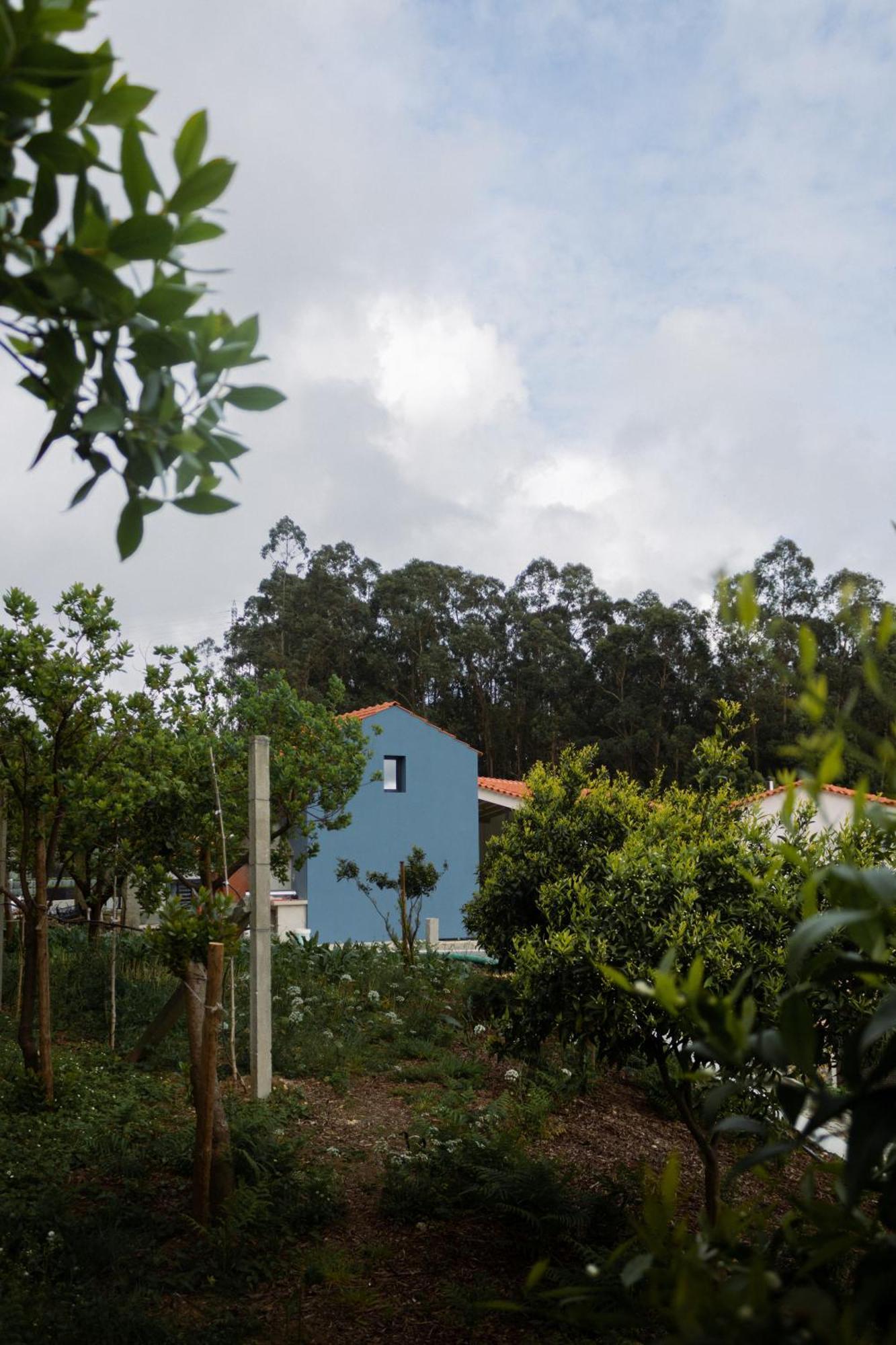 Casa Da Milheira - Agroturismo Oliveira de Azemeis Eksteriør bilde