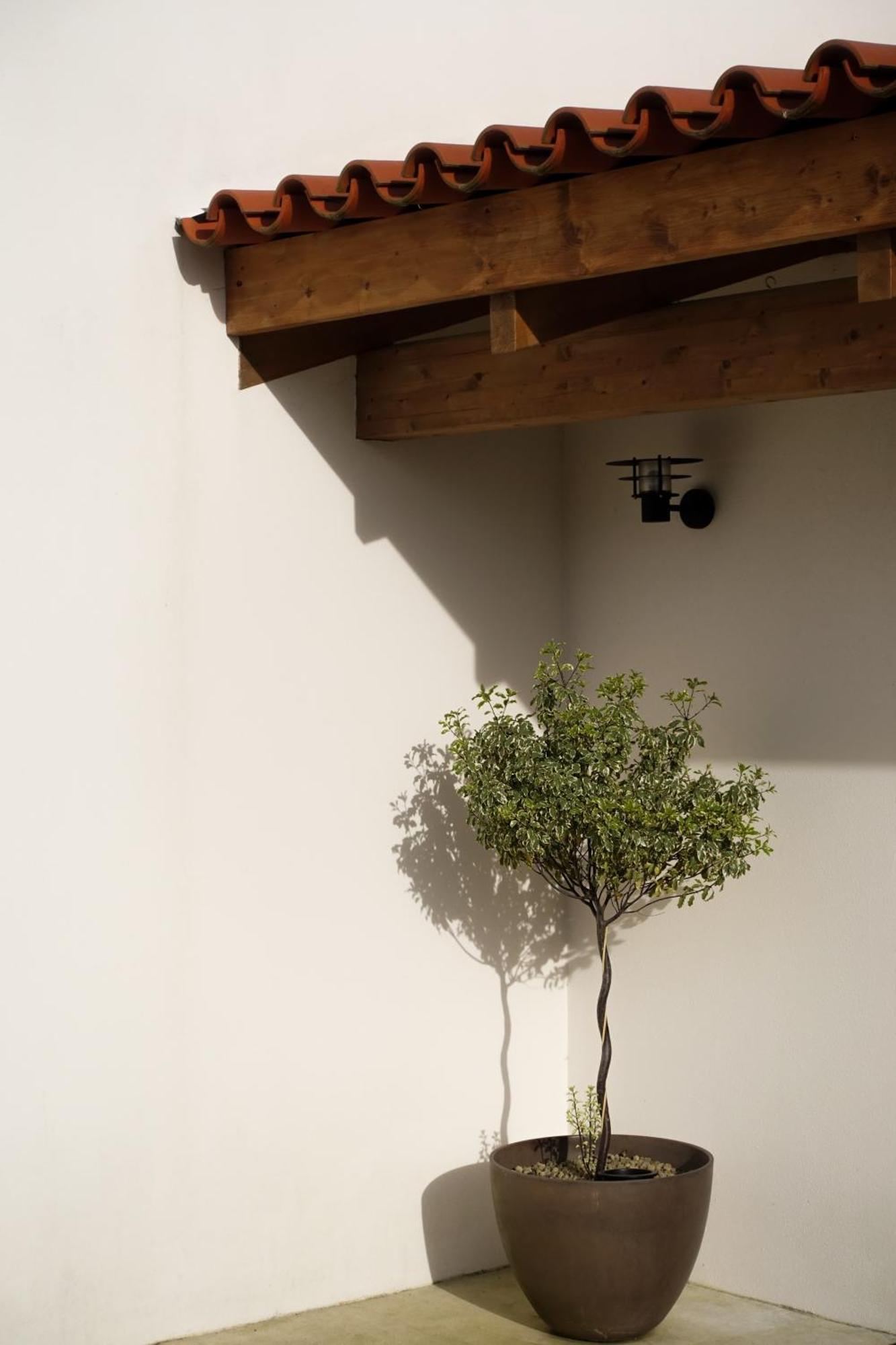 Casa Da Milheira - Agroturismo Oliveira de Azemeis Eksteriør bilde